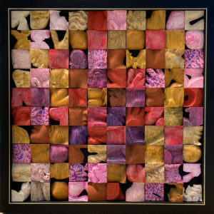 第12回作品 「赤色の分析」